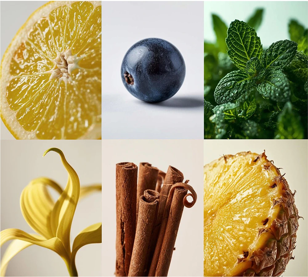 LEBON oral care arômes goûts